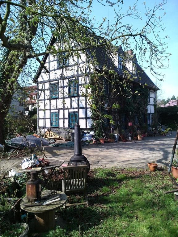 Der Birkenhof - Birch Court Apartment Dusseldorf Phòng bức ảnh